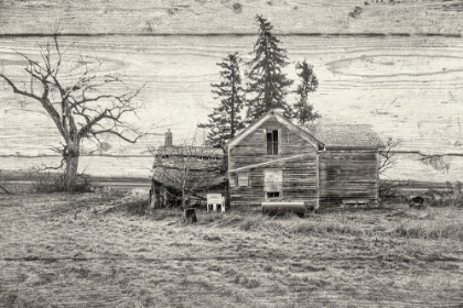 Picture of LOST FARMSTEAD ON THE PRAIRIE 007