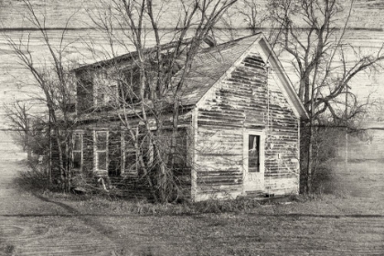 Picture of LOST FARMSTEAD ON THE PRAIRIE 009