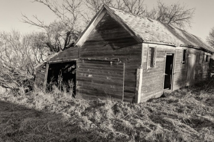 Picture of LOST FARMSTEAD ON THE PRAIRIE 013