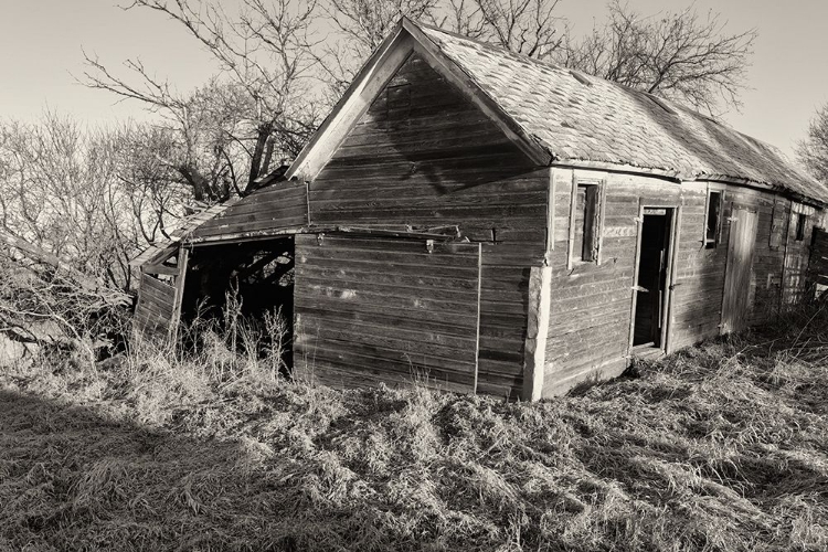 Picture of LOST FARMSTEAD ON THE PRAIRIE 013