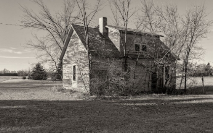 Picture of LOST FARMSTEAD ON THE PRAIRIE 016