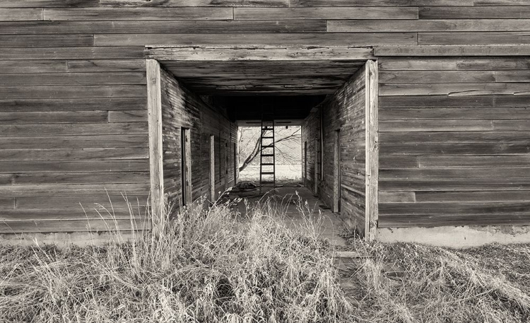 Picture of LOST FARMSTEAD ON THE PRAIRIE 024