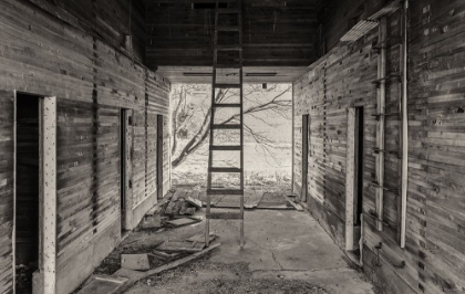 Picture of LOST FARMSTEAD ON THE PRAIRIE 025