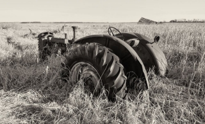 Picture of LOST FARMSTEAD ON THE PRAIRIE 026