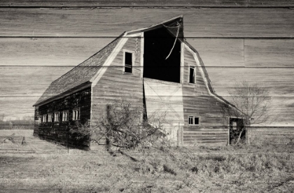 Picture of LOST FARMSTEAD ON THE PRAIRIE 027