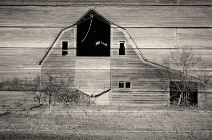 Picture of LOST FARMSTEAD ON THE PRAIRIE 028