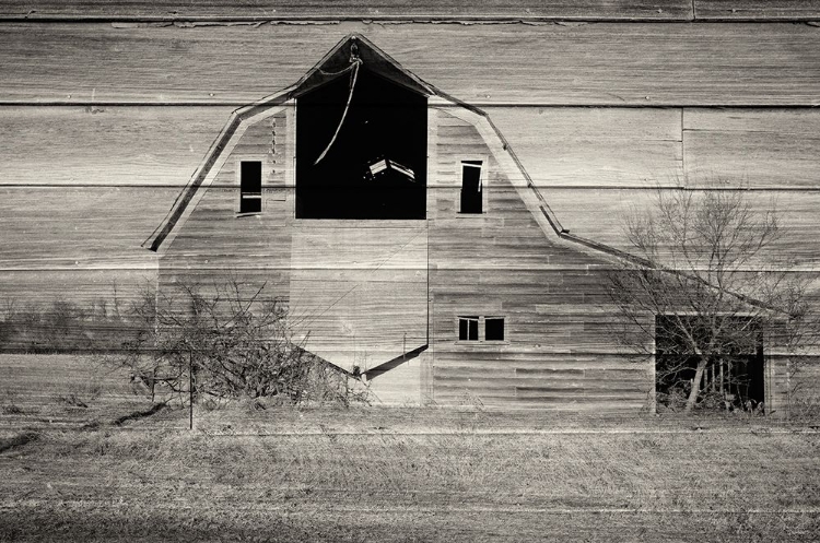 Picture of LOST FARMSTEAD ON THE PRAIRIE 028