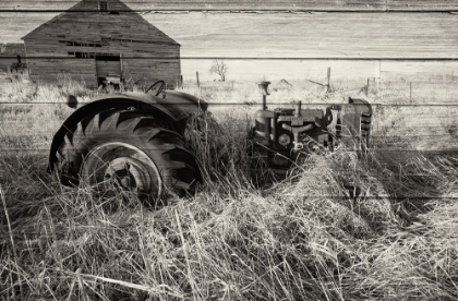 Picture of LOST FARMSTEAD ON THE PRAIRIE 029