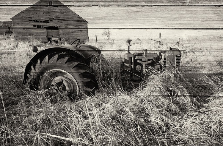 Picture of LOST FARMSTEAD ON THE PRAIRIE 029