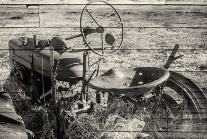 Picture of LOST FARMSTEAD ON THE PRAIRIE 030