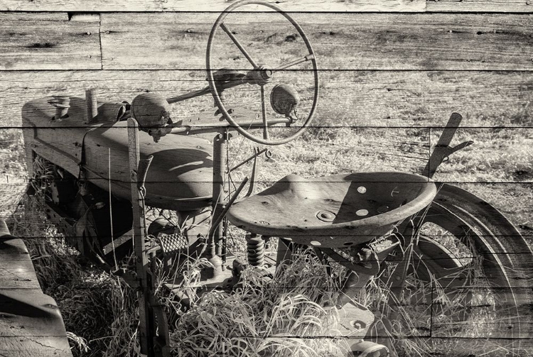 Picture of LOST FARMSTEAD ON THE PRAIRIE 030