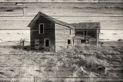 Picture of LOST FARMSTEAD ON THE PRAIRIE 031