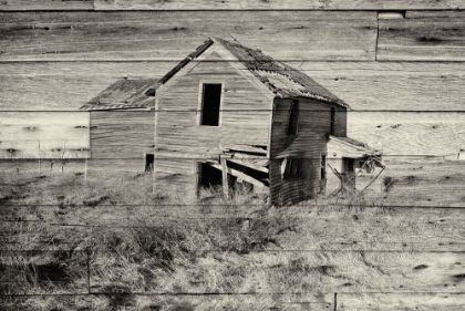 Picture of LOST FARMSTEAD ON THE PRAIRIE 032