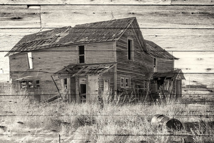 Picture of LOST FARMSTEAD ON THE PRAIRIE 033