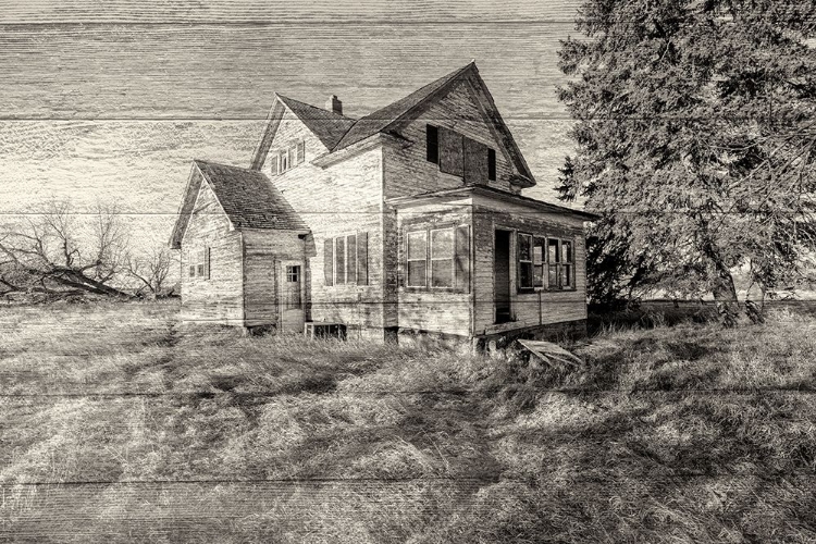 Picture of LOST FARMSTEAD ON THE PRAIRIE 034