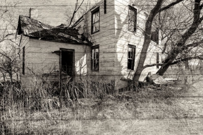 Picture of LOST FARMSTEAD ON THE PRAIRIE 035