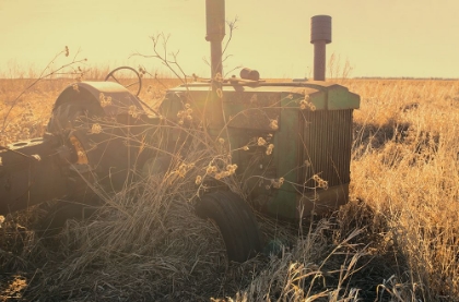 Picture of LOST FARMSTEAD ON THE PRAIRIE 041