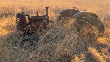 Picture of LOST FARMSTEAD ON THE PRAIRIE 042