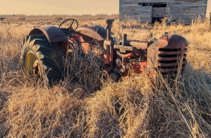 Picture of LOST FARMSTEAD ON THE PRAIRIE 043