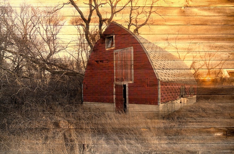 Picture of LOST FARMSTEAD ON THE PRAIRIE 045