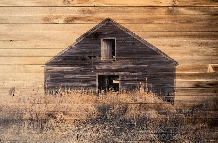 Picture of LOST FARMSTEAD ON THE PRAIRIE 047