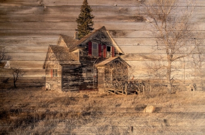 Picture of LOST FARMSTEAD ON THE PRAIRIE 049