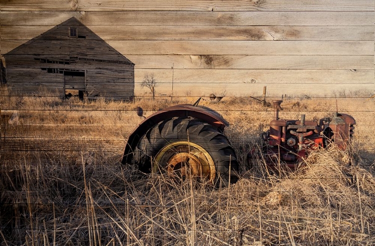 Picture of LOST FARMSTEAD ON THE PRAIRIE 051