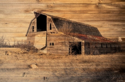 Picture of LOST FARMSTEAD ON THE PRAIRIE 052