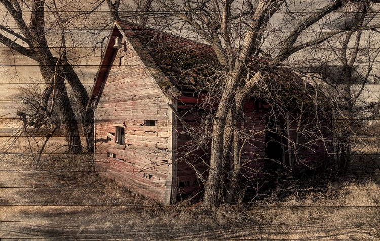 Picture of LOST FARMSTEAD ON THE PRAIRIE 058