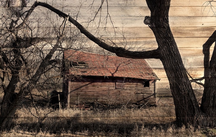 Picture of LOST FARMSTEAD ON THE PRAIRIE 059