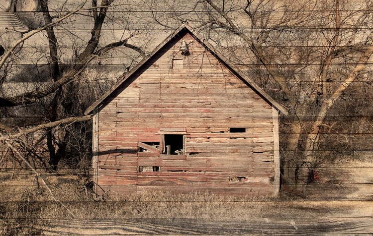 Picture of LOST FARMSTEAD ON THE PRAIRIE 060