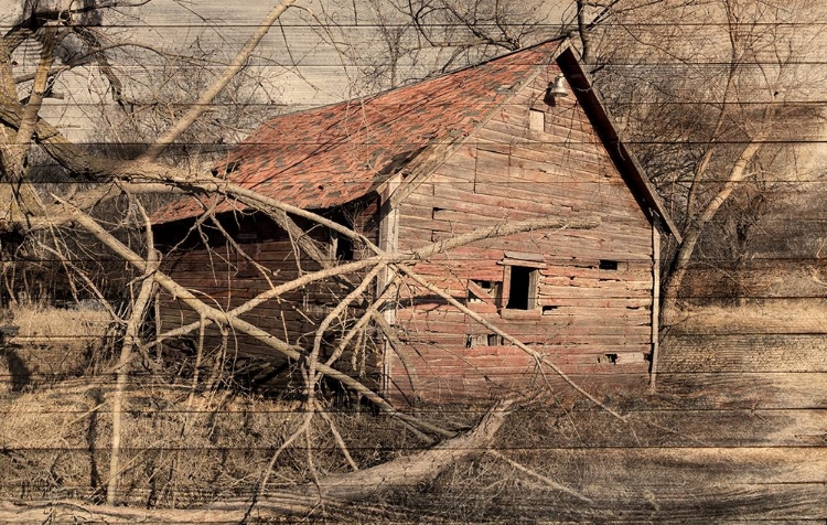 Picture of LOST FARMSTEAD ON THE PRAIRIE 061