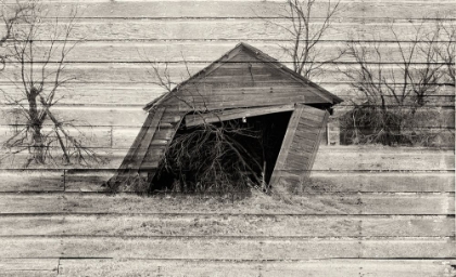 Picture of LOST FARMSTEAD ON THE PRAIRIE 068