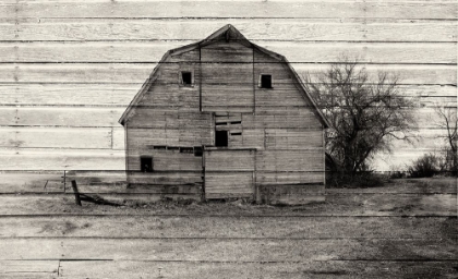 Picture of LOST FARMSTEAD ON THE PRAIRIE 069