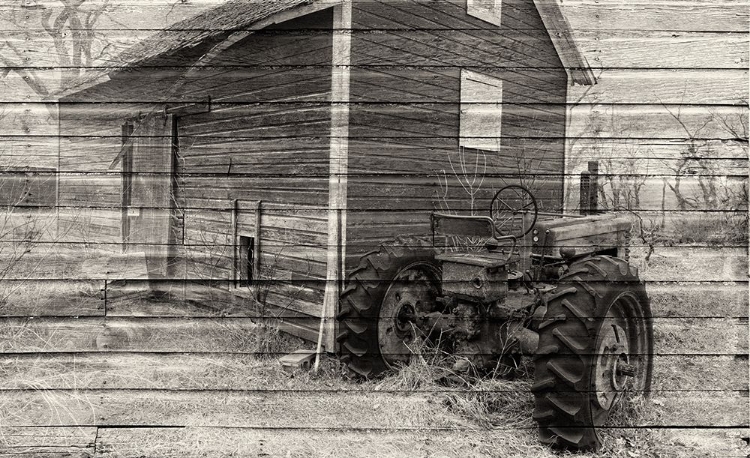 Picture of LOST FARMSTEAD ON THE PRAIRIE 070