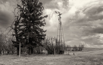 Picture of LOST FARMSTEAD ON THE PRAIRIE 071