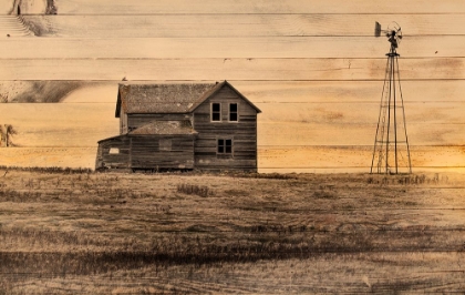 Picture of LOST FARMSTEAD ON THE PRAIRIE 075