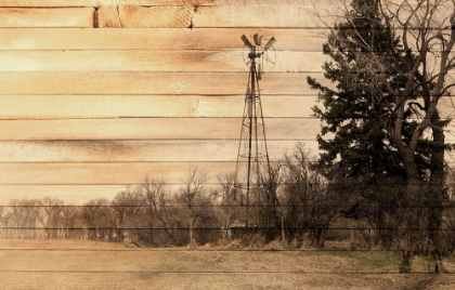 Picture of LOST FARMSTEAD ON THE PRAIRIE 078