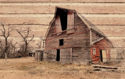 Picture of LOST FARMSTEAD ON THE PRAIRIE 079