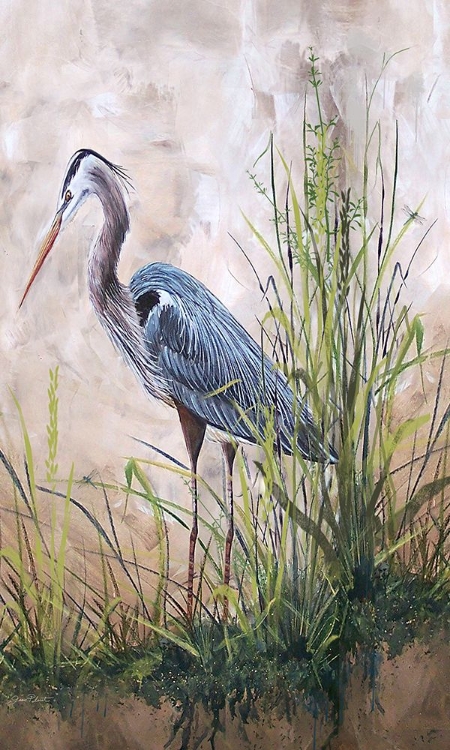 Picture of JP1818_IN THE REEDS-BLUE HERON-B