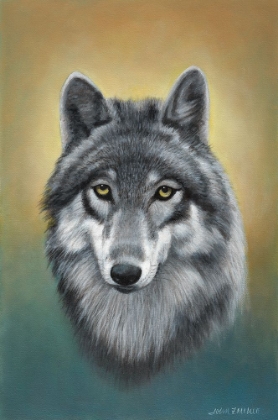 Picture of GRAY WOLF