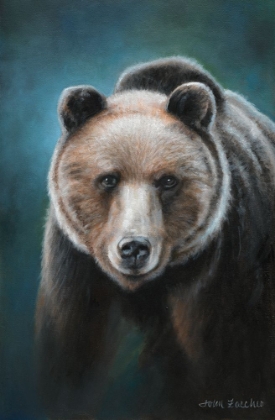 Picture of BROWN BEAR