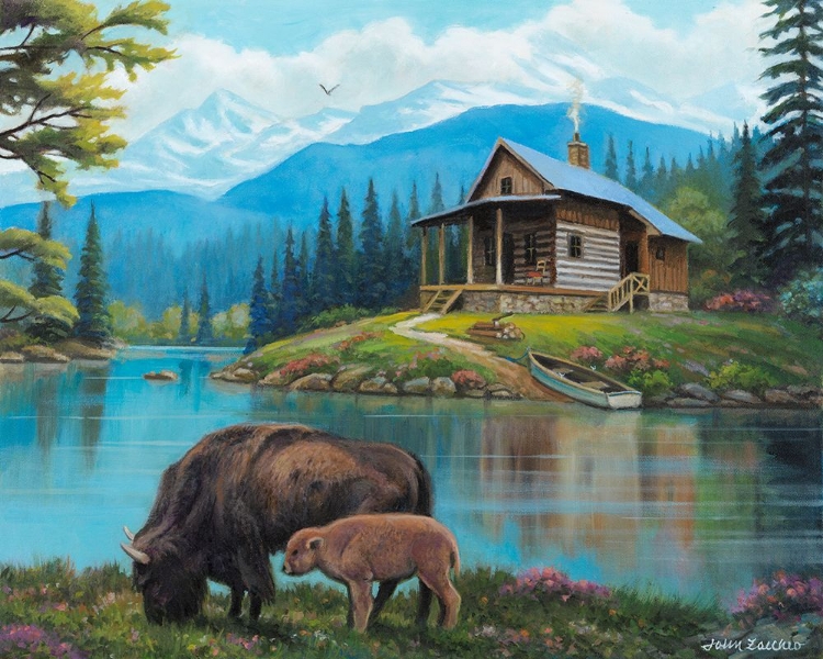 Picture of BISON CABIN VIEW