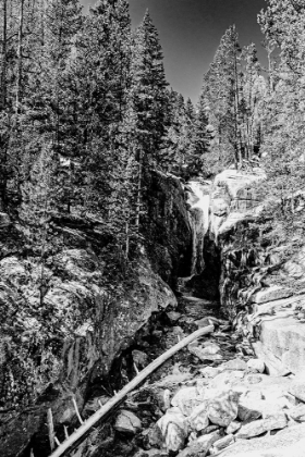 Picture of CHASM FALLS