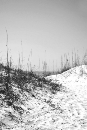 Picture of FOOTPRINTS IN DUNES