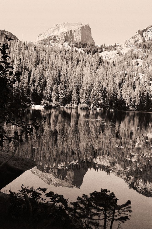 Picture of HALLET PEAK RMNP