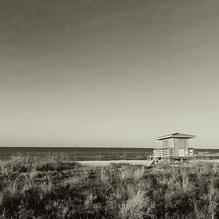 Picture of LIFEGUARD HUT BLACK AND WHITE