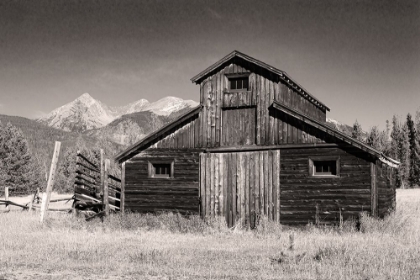 Picture of LITTLE BUCKAROO BARN