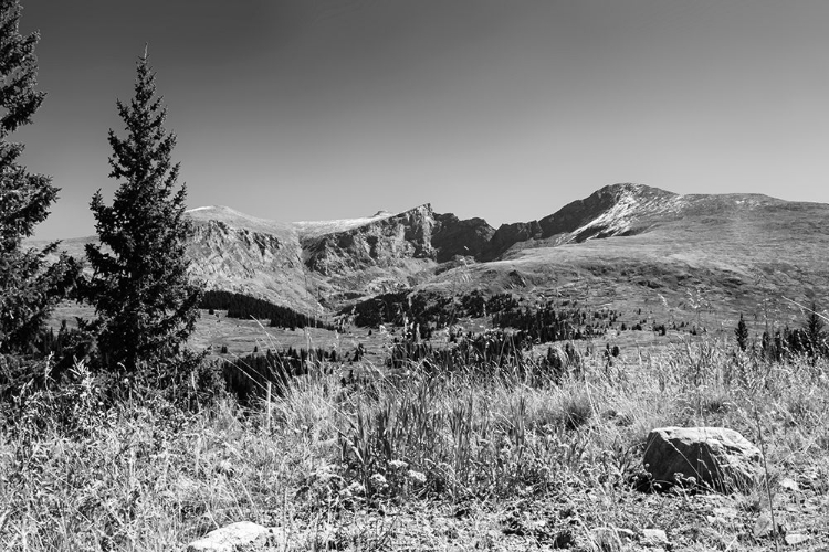 Picture of MT BIERSTADT