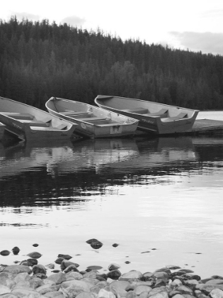 Picture of ROWBOATS